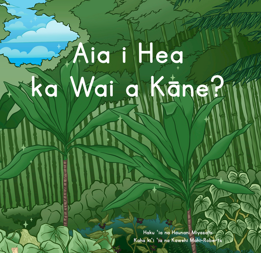 Aia i Hea ka Wai a Kāne? - Hawaiian language board books