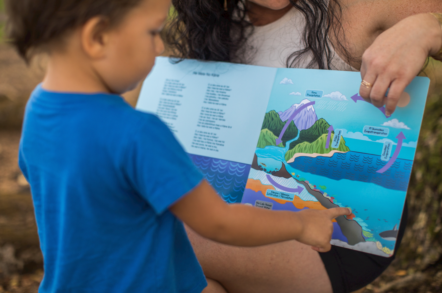 Aia i Hea ka Wai a Kāne? - Hawaiian language board books