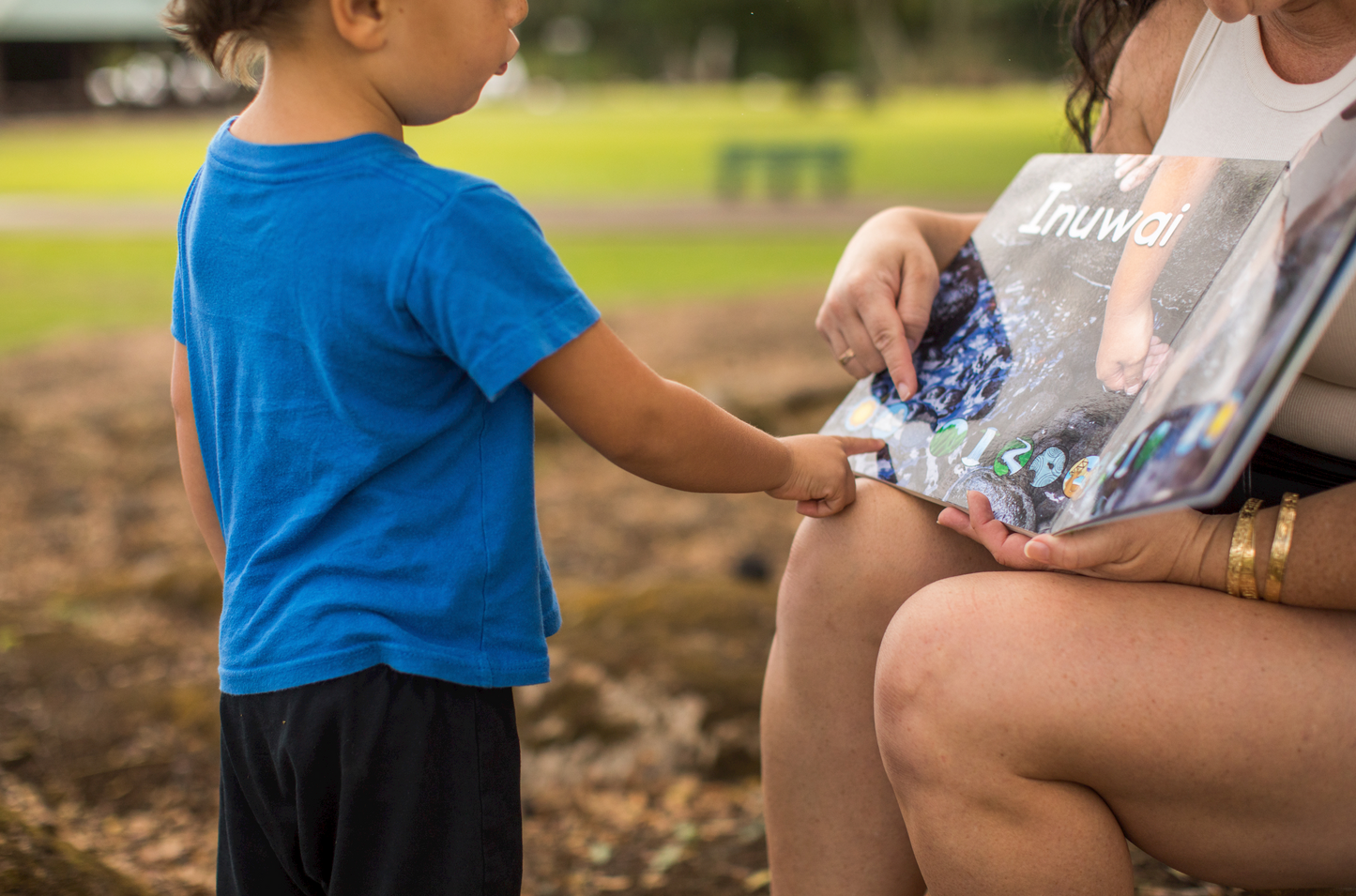 Mele Wai - Hawaiian language board book