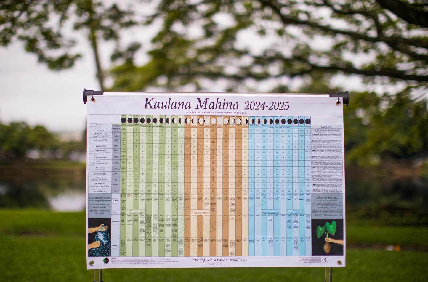 FLASH SALE Kaulana Mahina KULA