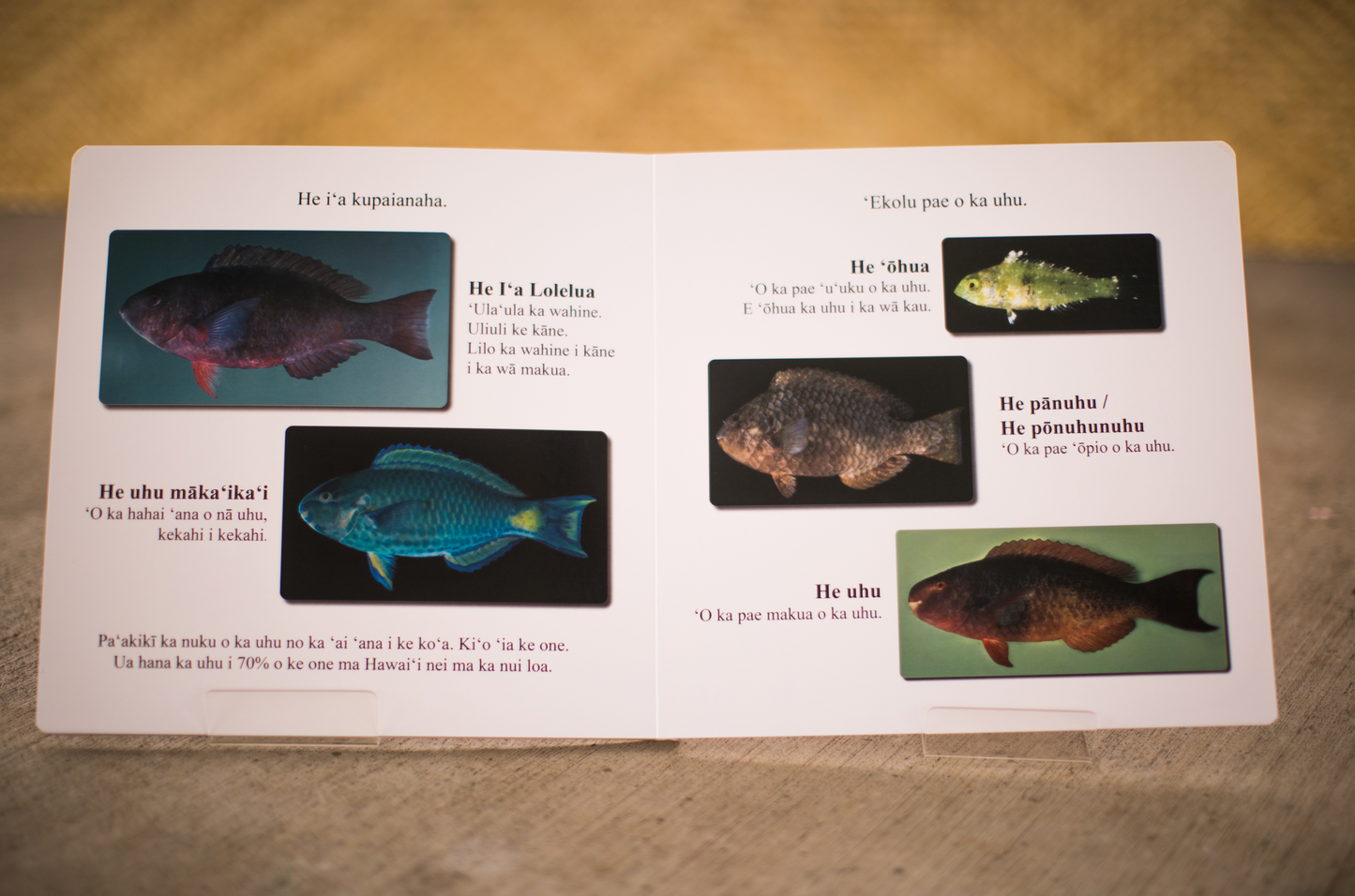 Ka Uhu- Hawaiian language board book