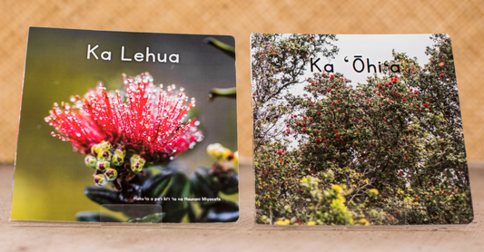 Ka Lehua & Ka ʻŌhiʻa Bundle