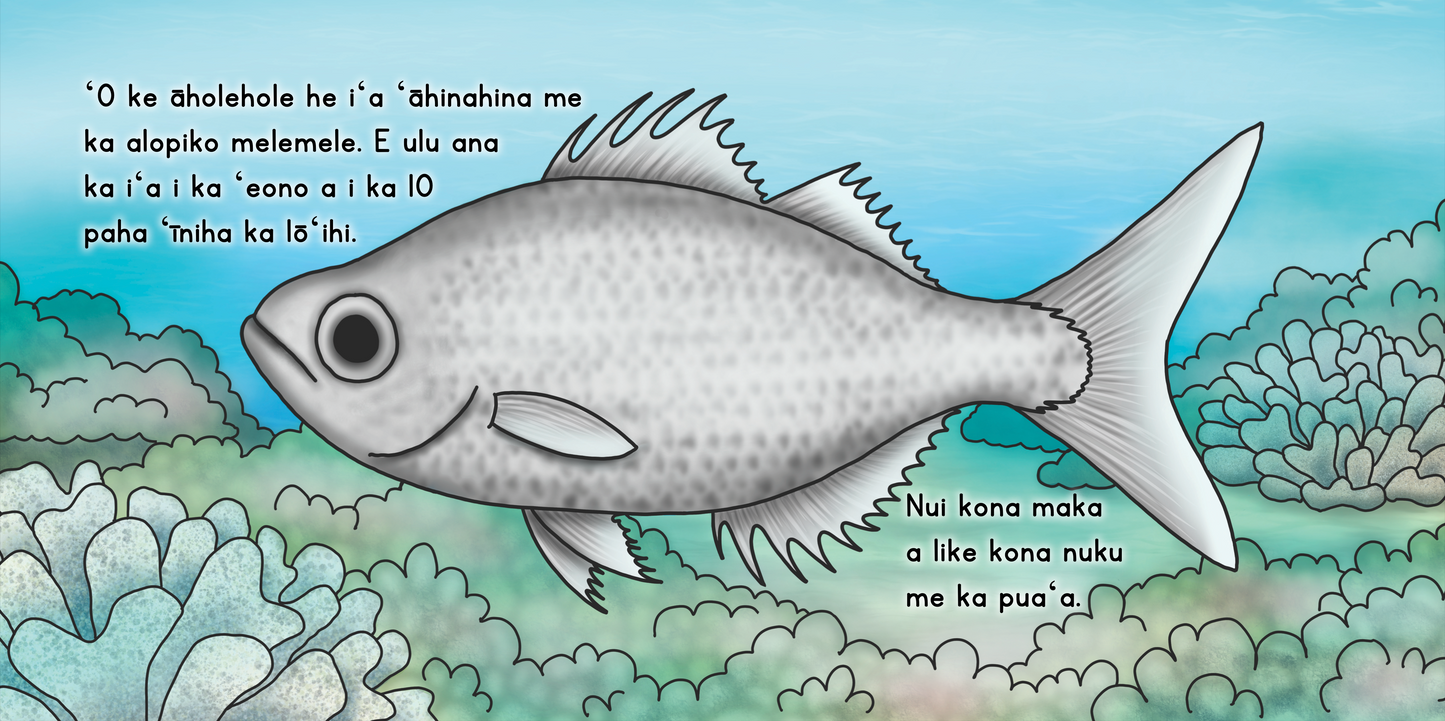 Holoholo Me Pāpā & Āholehole Bundle