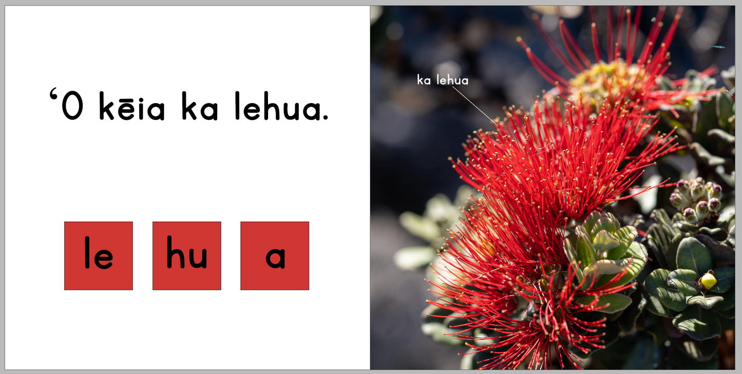 Ka ʻŌhiʻa - Hawaiian Language Board Book