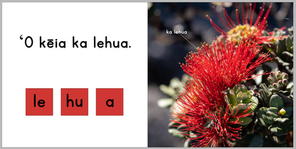 Ka ʻŌhiʻa - Hawaiian Language Board Book