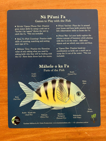 FLASH SALE! Iʻa o ka Pāpapa