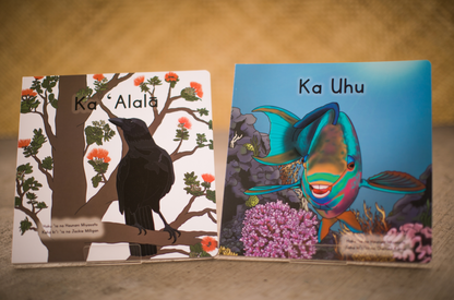 Ready-To-Gift Book Boxes