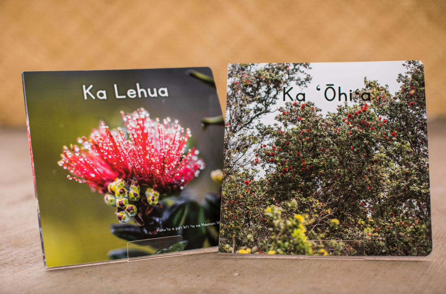 The Ultimate 10-Book Bundle