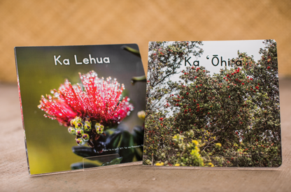 The Ultimate 10-Book Bundle