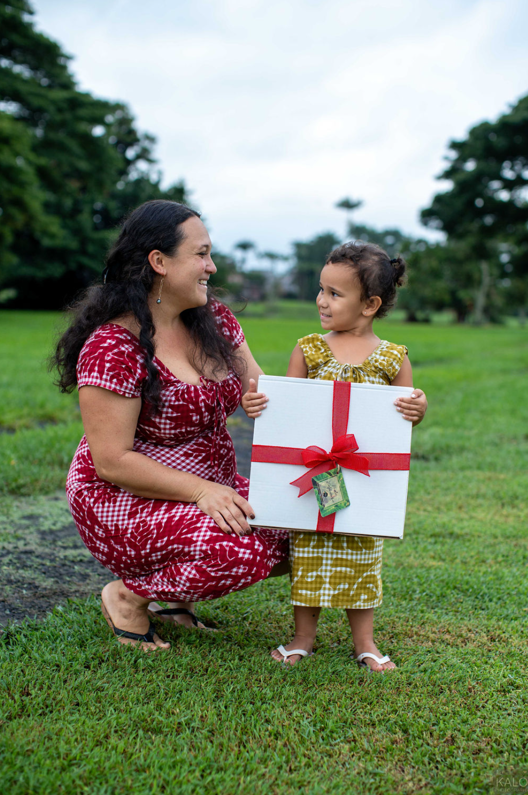 Ready-To-Gift Book Boxes