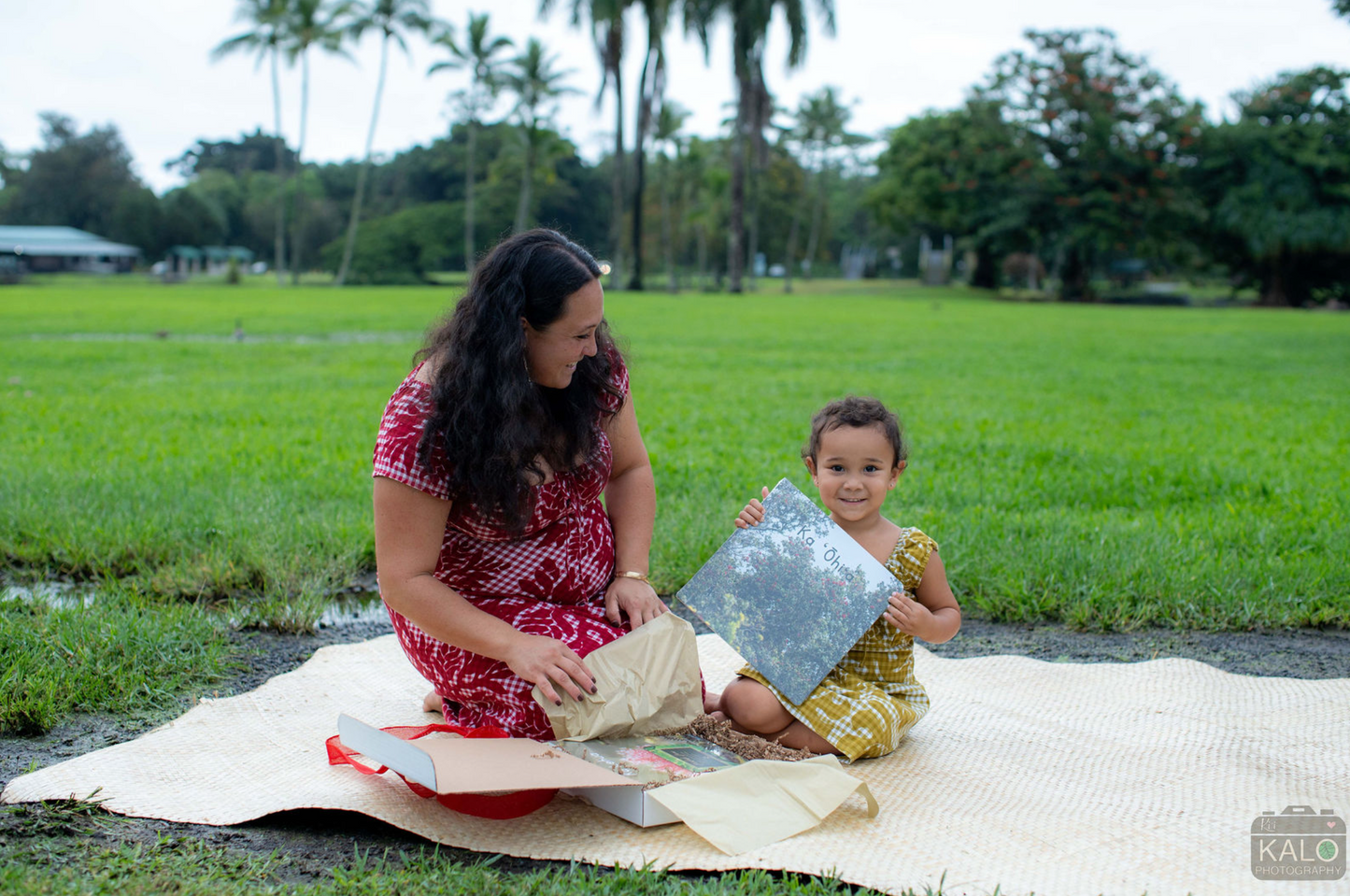 Ready-To-Gift Book Boxes