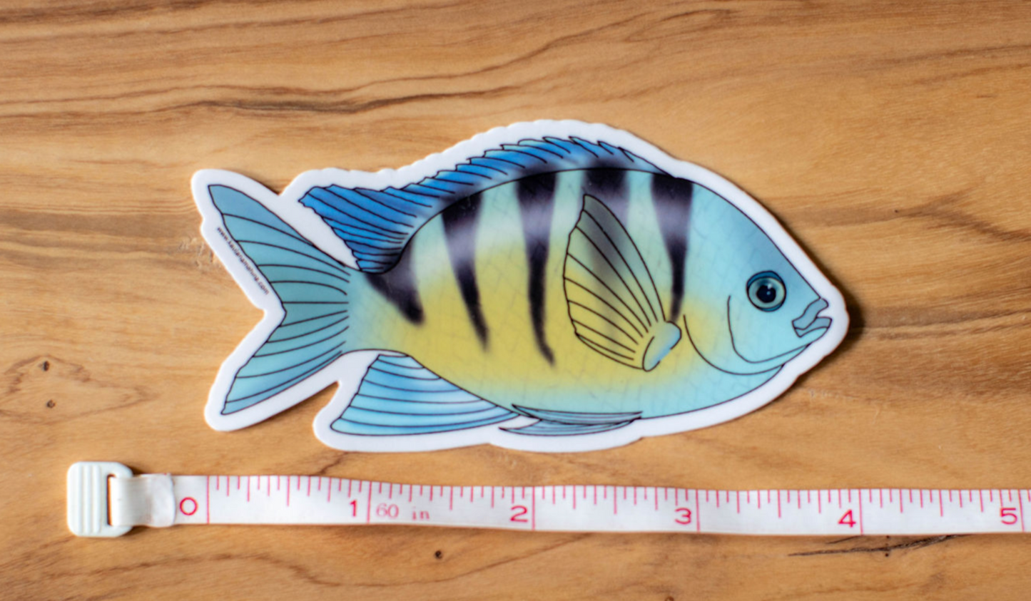 Reef Iʻa Sticker Pack