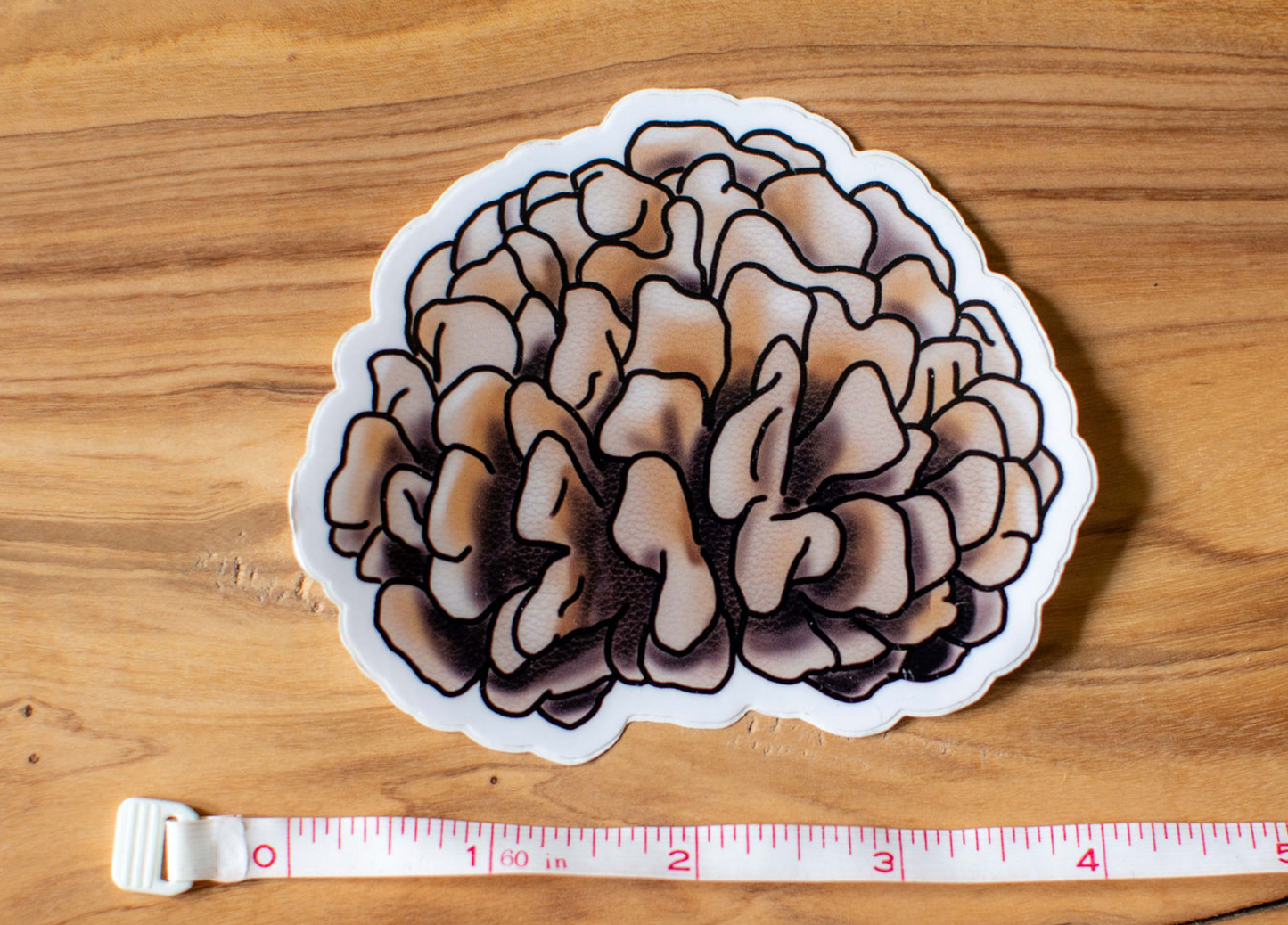 Reef Iʻa Sticker Pack