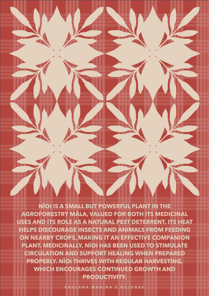 Makahiki Wall Calendar (Bundle for Businesses)
