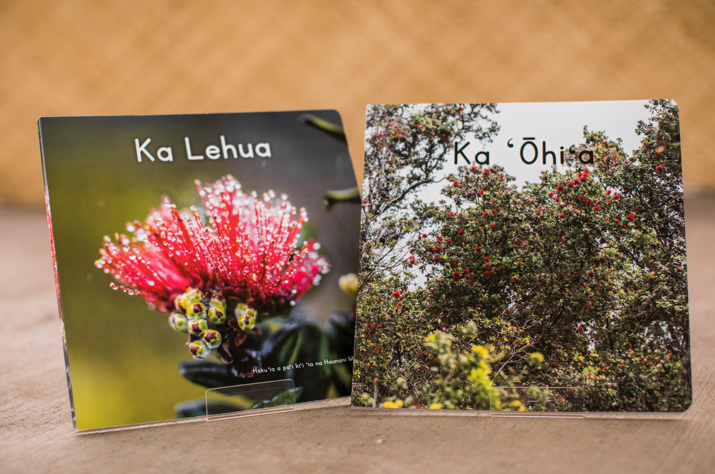 Foundational Book Box