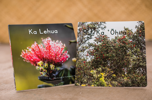 Foundational Book Box