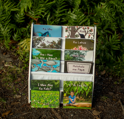 The Ultimate 10-Book Box