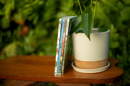 Foundational Book Box