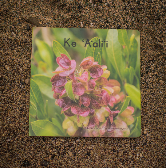 ʻAʻaliʻi Bundle