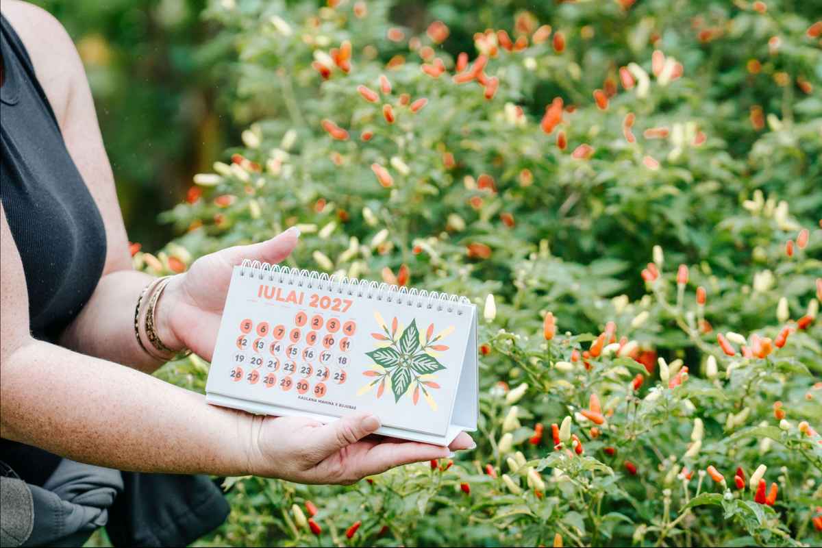 Makahiki Desk Calendar (Bundle for Businesses)